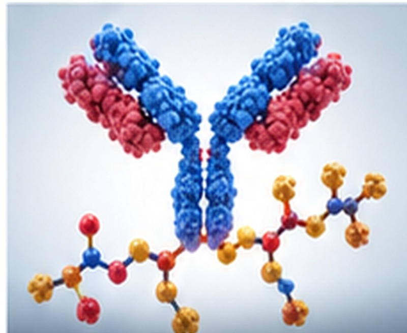 CA72-4 Antibody