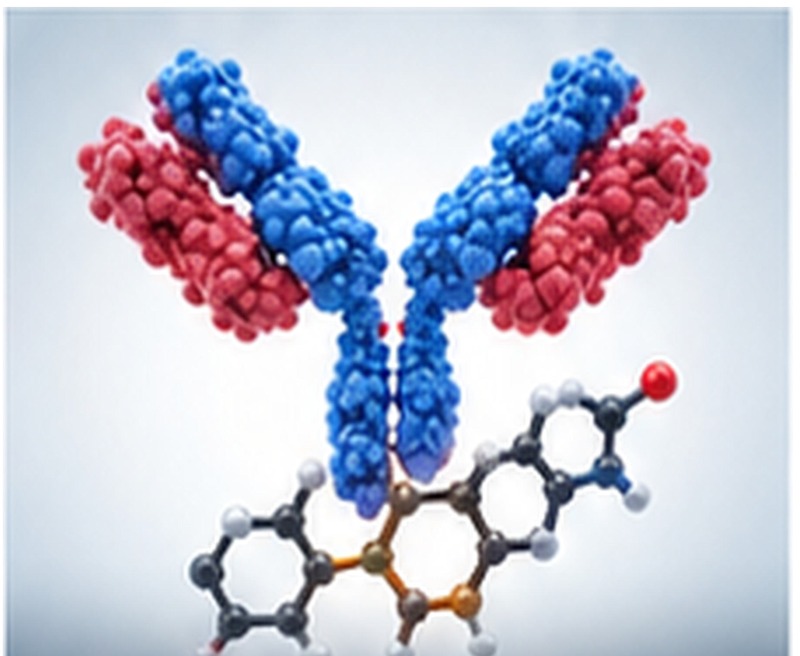 Vitamin D Antibody
