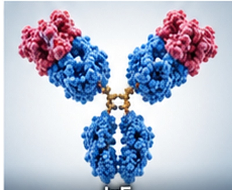 IgE Recombinant Protein