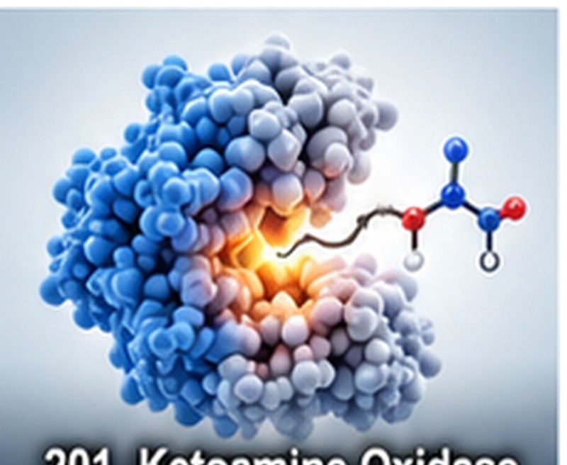 Ketoamine Oxidase (KAOD)